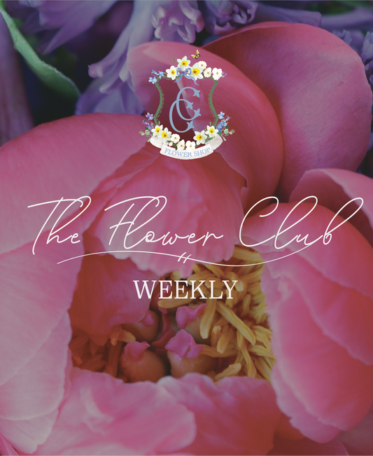 The Flower Club - WEEKLY
